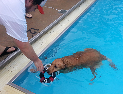 Dive in to the fun at Big Dog Day Swim!