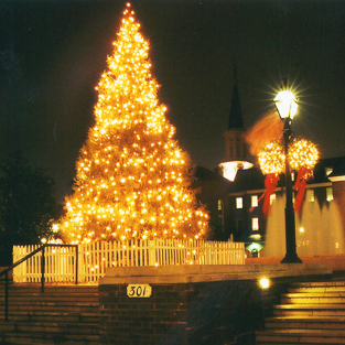 Tree Lighting Ceremony