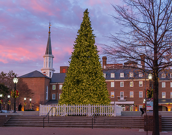 Holiday Tree photo by Chris Bidner for Visit Alexandria