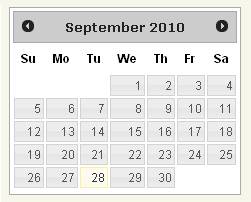 calendar date picker